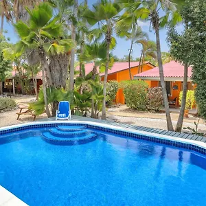 Tropical Divers Hotel Kralendijk (Bonaire)